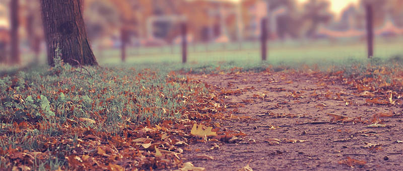 Web漏洞扫描工具